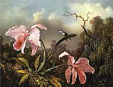 Martin Johnson Heade Orchids and Hummingbird 2 painting
